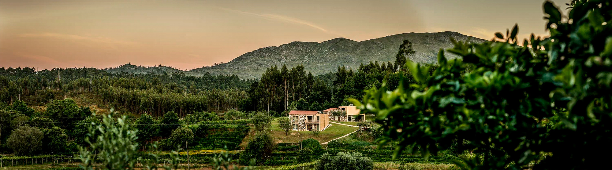 Quinta do Fortunato